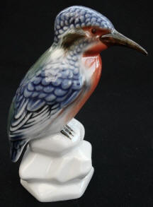 4883 Kingfisher bird