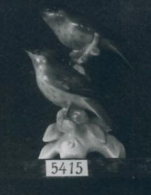 5415 Birds